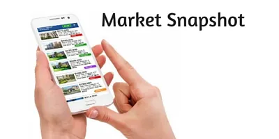 Market Snapshot